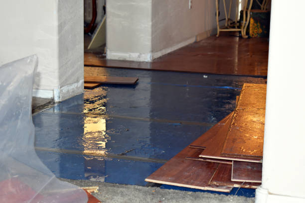 Professional Burst Pipe Cleanup technician working in Mayville, ND